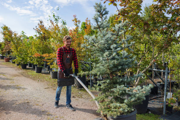 Best Tree Trimming and Pruning  in Sturgeon, PA